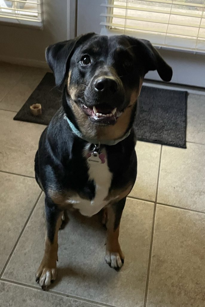 225c1589 104e 44ba 9d5b 5d88dfb5d993 (1)